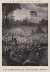 De Benin-expeditie